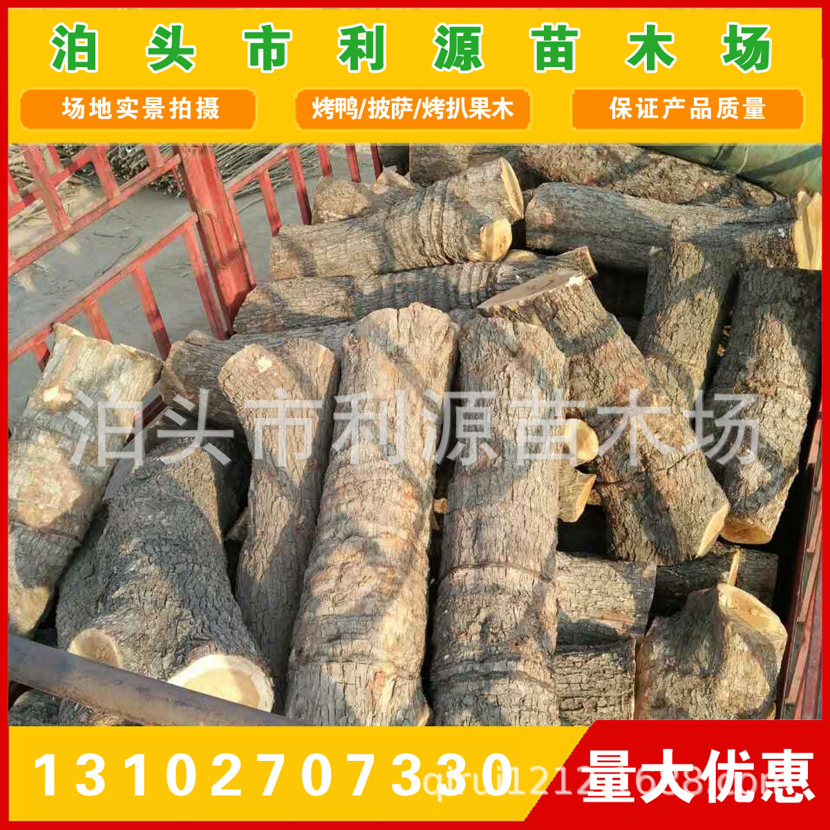 供应枣木原木小头直径25-50公分10000吨 货源充足 全国发货无空心示例图8