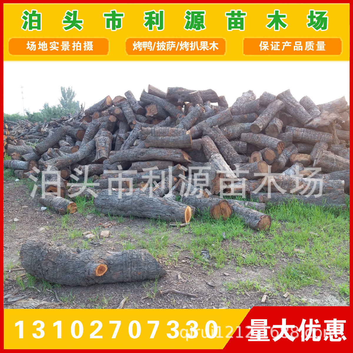 供应枣木原木小头直径25-50公分10000吨 货源充足 全国发货无空心示例图3