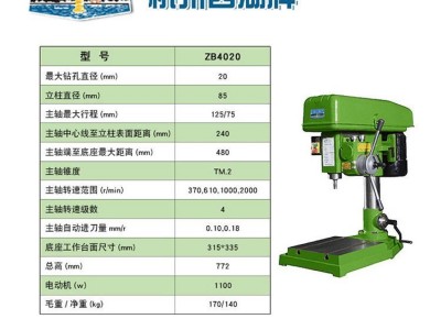 西湖台钻 自动进给 ZB4020工业钻床 小型家用220V 多功能钻孔机