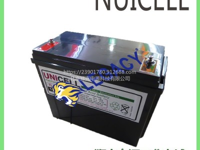 新加坡NUICELL蓄电池DLA12200F工业机器人机械臂12V20AH电瓶