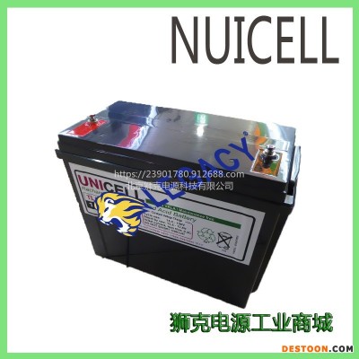 新加坡NUICELL蓄电池DLA12200F工业机器人机械臂12V20AH电瓶