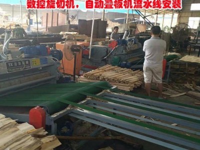 木工机械大全数控旋切机全自动切板机剥皮机有卡无卡旋切机叠板机流水线安装
