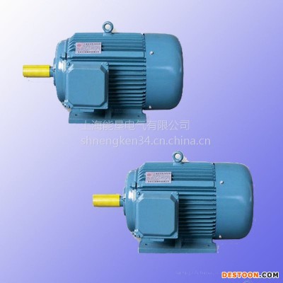 供应上海能垦Y200L2-6 22KW木工机械三相异步电动机
