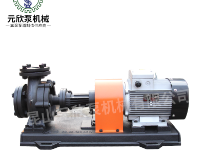 广州元欣供应高温导热油泵350度联轴泵 木工机械专用高温油泵