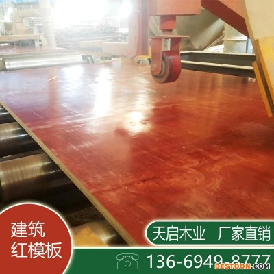 优质模板供应商 广西天启木业 胶合板 多层建筑模板