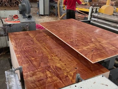 广西胶合板 多层木模板 建筑用模板价格 整板桉木芯樟子松面