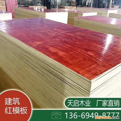建筑模板 广西胶合板厂 天启木业 生产厂家