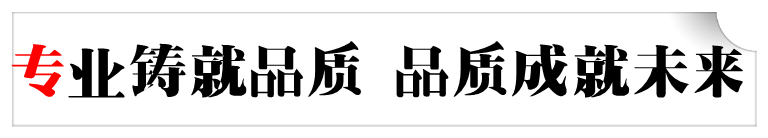 专业铸就品质 品质成就未来.jpg