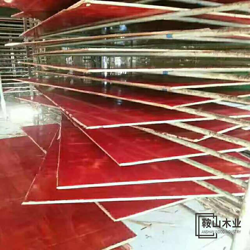 耐晒 装模用 建筑高层板 建筑胶合板