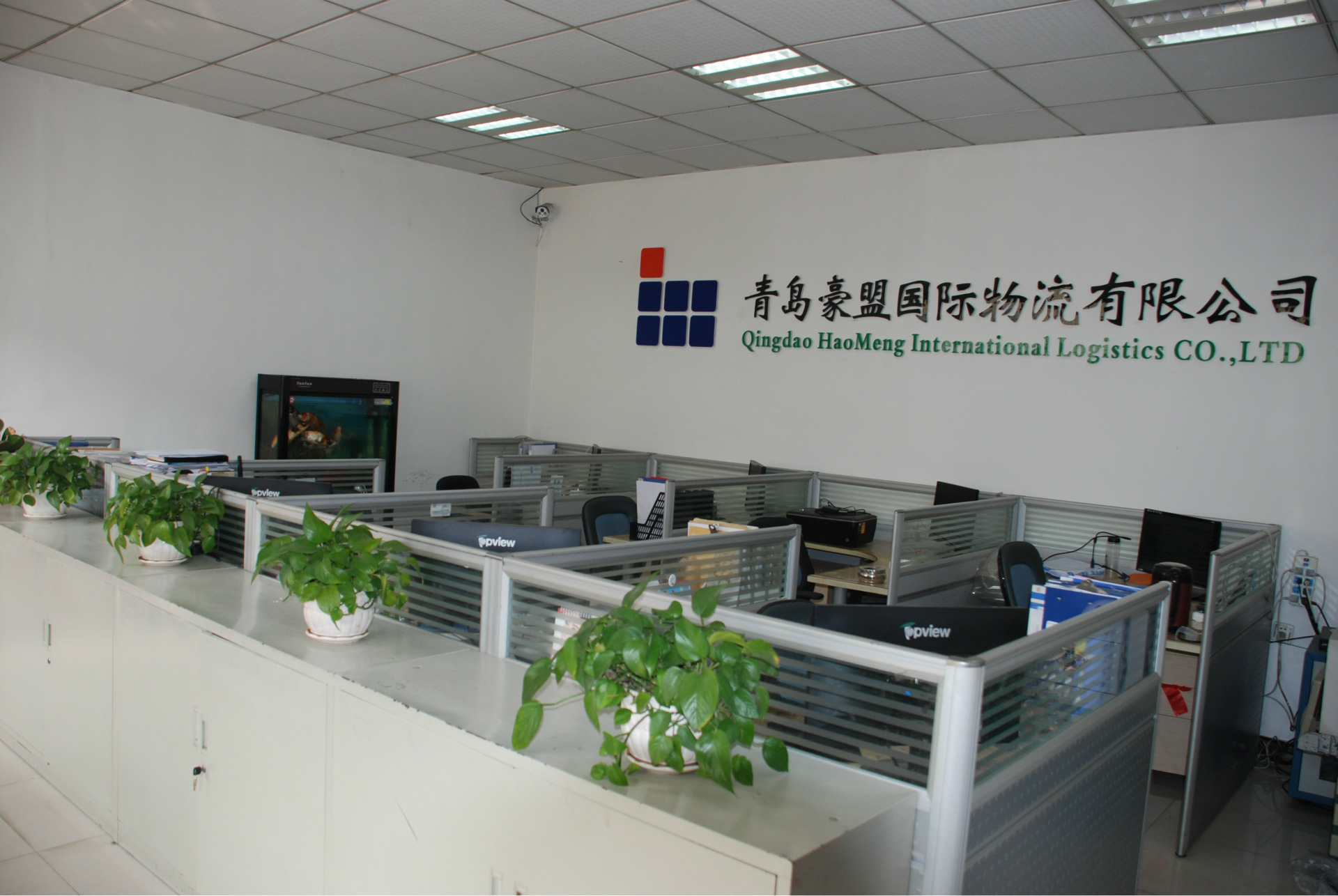青岛黄岛木托盘单面胶合板托盘打托缠膜一条龙放心省心示例图8